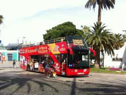 Las Palmas Hop-In Hop-Off bus