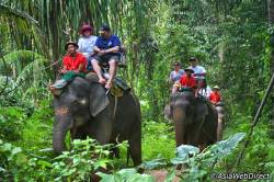 Rafting in jahanje slonov