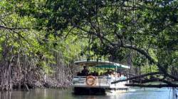 Black River Safari in Y.S. slapovi