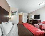 potovanja - Westkuste, Comfort_Inn_Los_Angeles_Near_Hollywood