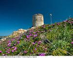 Olbia,Sardinija, Residence_Borgo_Di_Mare