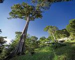 Dantica Cloud Forest Lodge, Costa Rica - Playa Papagayo - last minute počitnice