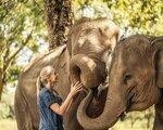 Anantara Golden Triangle Elephant Camp & Resort, Chiang Rai (Tajska) - namestitev