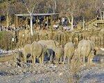 Halali Resort, Namibija - nacionalni parki - namestitev