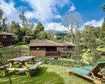 Quinta Das Eiras, Madeira - iz Dunaja, last minute počitnice