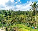Samsara Ubud, Indonezija - Bali - namestitev