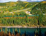 Denali Grizzly Bear Resort - Cedar Hotel/ Cabins/ Camping, potovanja - Aljaska - namestitev