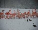 Abacus Tierpark, Berlin (DE) - namestitev