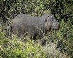 The Outpost, Nelspruit (J.A.R.) / Kruger National Park - namestitev